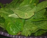 Foto del paso 5 de la receta: Tacos con relleno de cerdo