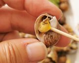Foto del paso 3 de la receta: Caracolillos de Mar