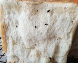 Foto langkah ke 7 dari resep Shokupan with Poolish - versi 1.