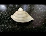 A picture of step 8 of Layered samosa.