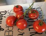 Une image de l'étape 1 de Tomates au four façon provençale ail et persil.