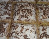 صورة لخطوة 9 من وصفة الكيكة الاسفنجية بدون زيت sponge cake