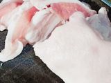 Chả trứng cho bé khó tính