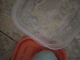Teh Telur Bebek