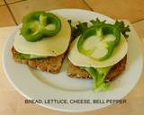 Delectable Sandwiches Sandwich Galore recipe step 5 photo