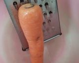 Foto langkah ke 1 dari resep Egg Chicken Roll with Carrot.