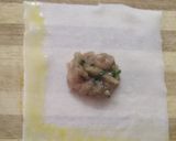 A picture of step 3 of Chicken wontons.