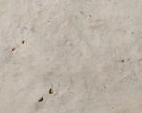 A picture of step 5 of Spicy Mooli (Radish) Ka Paratha.