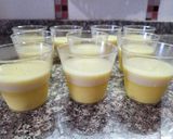Foto del paso 5 de la receta: Panacota tres sabores