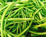 Hình bước làm 1 của món Ốc Móng Tay Xào Rau Muống