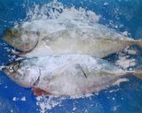 Foto langkah ke 2 dari resep Ikan Kembung masak Bumbu kecap.