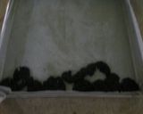 Foto langkah ke 4 dari resep Prunes roll cake.