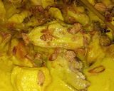 Foto langkah ke 6 dari resep Opor Ayam Tahu.