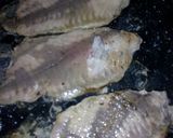 Foto del paso 6 de la receta: Empanadas de pescado