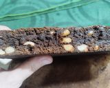 Foto del paso 5 de la receta: Brownie de leche condensada