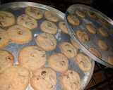 Foto del paso 7 de la receta: Galletas conchispas de chocolate