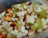 Foto del paso 3 de la receta: Mermelada multifrutas (sin azúcar)