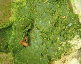 શામ સવેરા કોફતા કરી (Shaam Savera Kofta Curry Recipe In Gujarati) રેસીપી સ્ટેપ1ફોટો