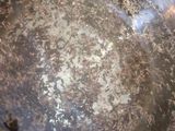 معجزه چربی سوزی با زیره سیاه (پارت۲)