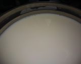 Foto del paso 1 de la receta: Yogurt casero