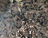 A picture of step 3 of Annam payasam.