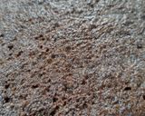 Foto del paso 16 de la receta: Bizcochos de chocolate (ideales para rellenar)