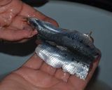 Une image de l'étape 3 de Tartelettes estivales aux sardines.