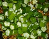 A picture of step 9 of Okra Masala(Bhindi).