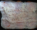 Foto del paso 3 de la receta: Milhojas de Berenjena