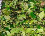 A picture of step 2 of Moringa Leaves Salad 🥗.