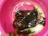 Chewy Brownies