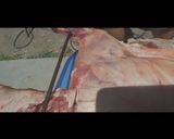 Foto del paso 8 de la receta: Cordero a la asador (paso a paso)