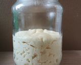 Lievito Madre kovász recept fázis 5 fotója