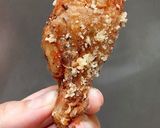 Foto langkah ke 11 dari resep Garlic Parmesan Wings ala rumah.