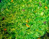 પાલક પુલાવ (Palak pulav in gujrati) રેસીપી સ્ટેપ4ફોટો