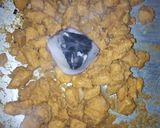 A picture of step 8 of Smoked chicken tikka chunks.