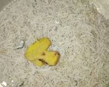 Foto langkah ke 2 dari resep Teri Kacang Kriuk.