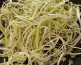 Une image de l'étape 6 de Spaghettis de Poireaux, Crème de Camembert, Émietté de Pancetta.