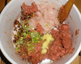 Foto del paso 6 de la receta: SHUMAI (o dim sum)