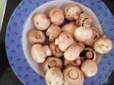 Oseng jamur kancing Kecap