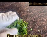 A picture of step 2 of Hara Bhara Parantha (Leafy wholeweat Flatbread).