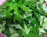 Foto langkah ke 1 dari resep Gulai gurih "daun pepaya jepang" 🥥🍽🤤.