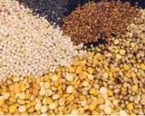 A picture of step 7 of Homemade Sambar masala Powder.