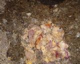 Foto langkah ke 1 dari resep Nugget Ayam Sayur (Frozen Food).