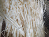 Jamur inoki crispy