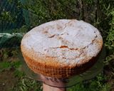 Foto del paso 7 de la receta: Bizcochuelo de Naranja