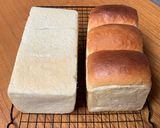 Foto langkah ke 11 dari resep Poolish Shokupan (Roti Susu Jepang).