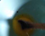 Foto del paso 1 de la receta: Queque sencillo