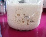 Foto del paso 4 de la receta: Pan casero con masa madre