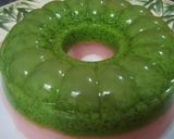 Foto langkah ke 13 dari resep Puding Lumut Lapis Nutrijel Yoghurt.